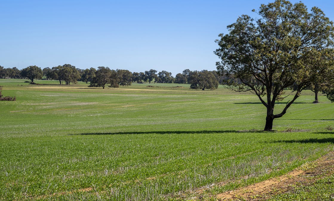 2272 North West Road, Dandaragan, WA, 6507 - Image 29