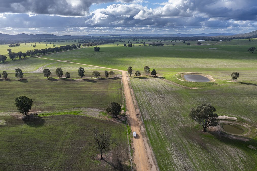 Narrakup 323 Clayneys Road, Warraderry, NSW, 2810 - Image 2