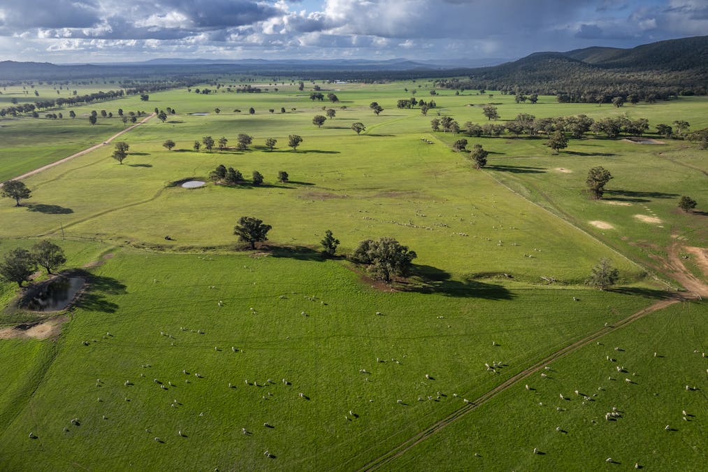 Narrakup 323 Clayneys Road, Warraderry, NSW, 2810 - Image 3