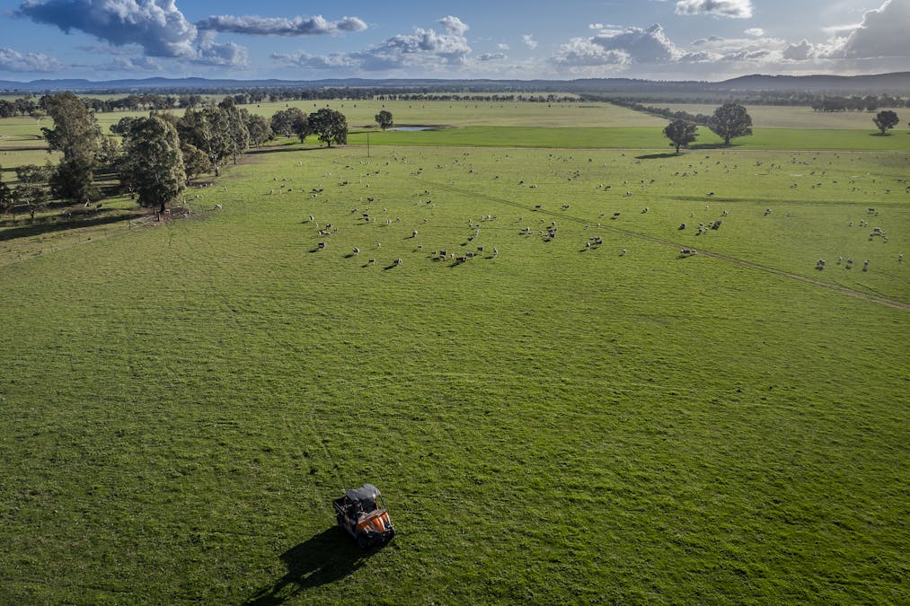 Narrakup 323 Clayneys Road, Warraderry, NSW, 2810 - Image 4