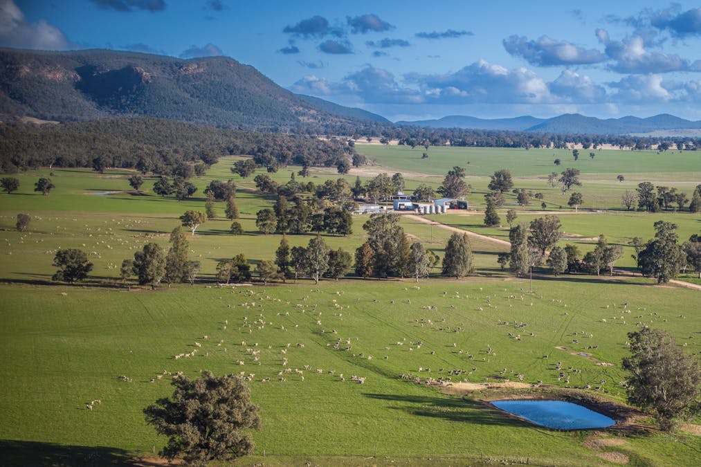 Narrakup 323 Clayneys Road, Warraderry, NSW, 2810 - Image 26