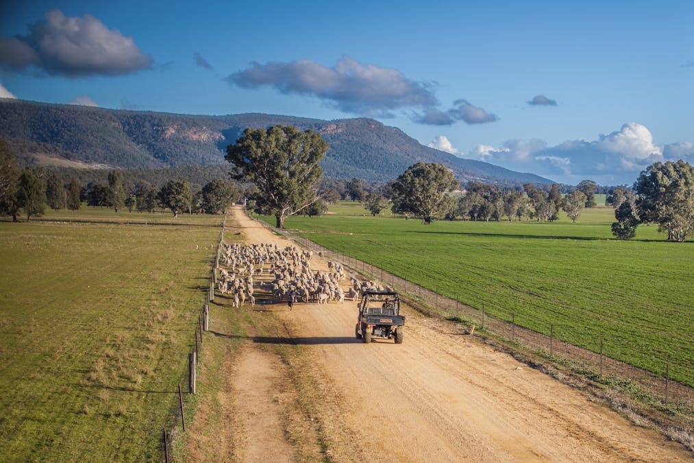 Narrakup 323 Clayneys Road, Warraderry, NSW, 2810 - Image 5