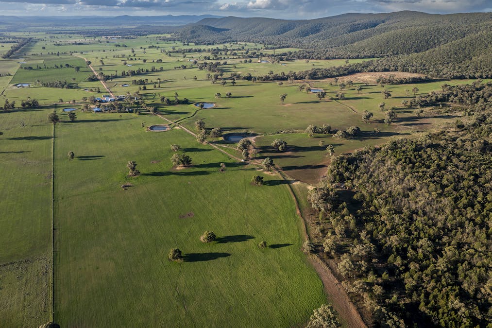 Narrakup 323 Clayneys Road, Warraderry, NSW, 2810 - Image 29