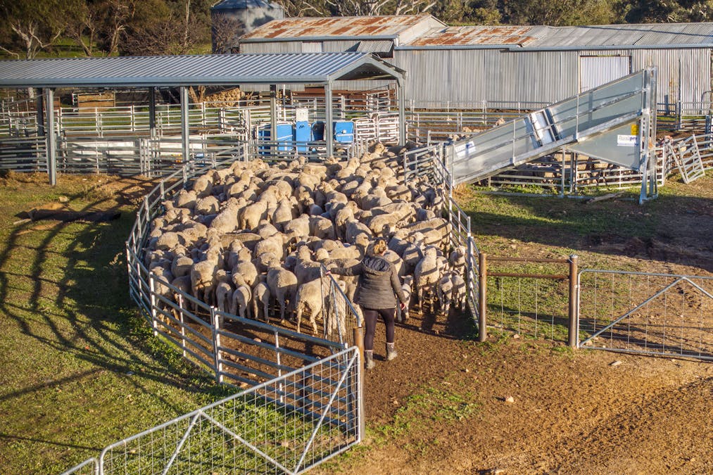 Narrakup 323 Clayneys Road, Warraderry, NSW, 2810 - Image 13