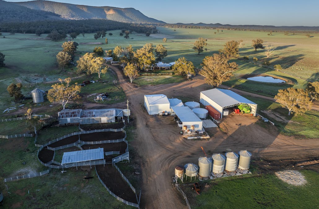 Narrakup 323 Clayneys Road, Warraderry, NSW, 2810 - Image 8