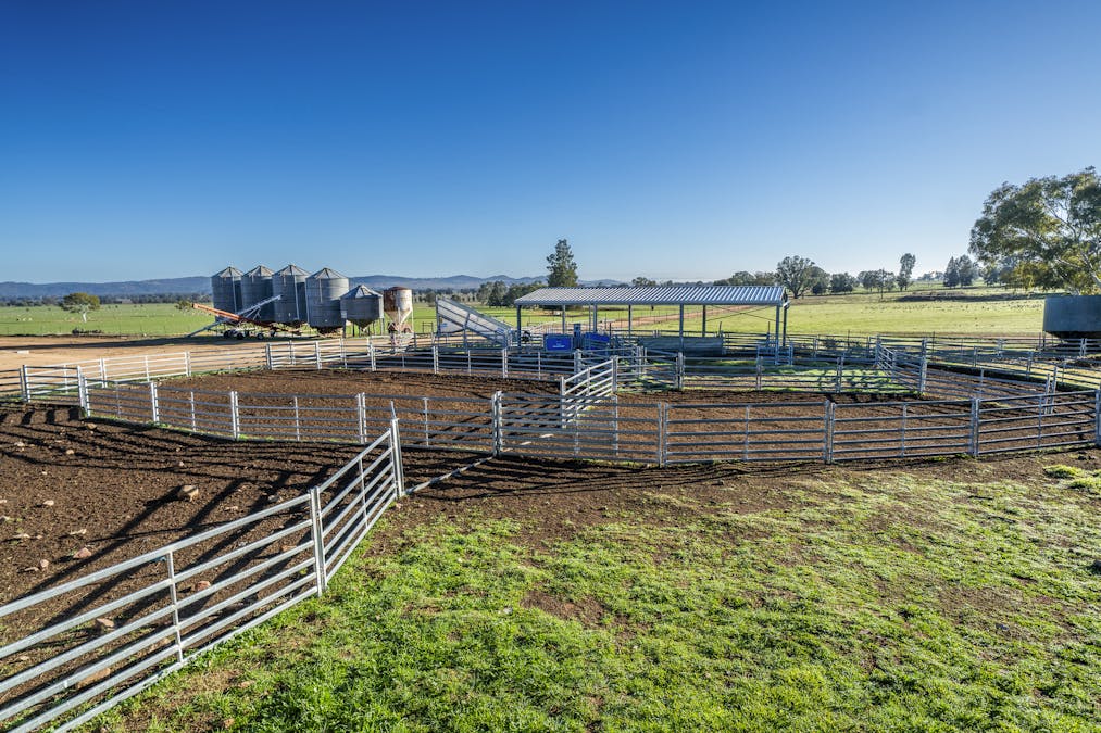 Narrakup 323 Clayneys Road, Warraderry, NSW, 2810 - Image 12