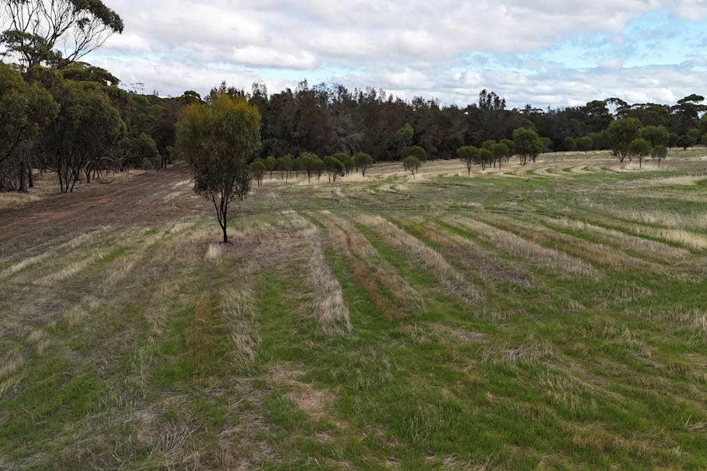 4/Great Southern Highway, Woodanilling, WA, 6316 - Image 10