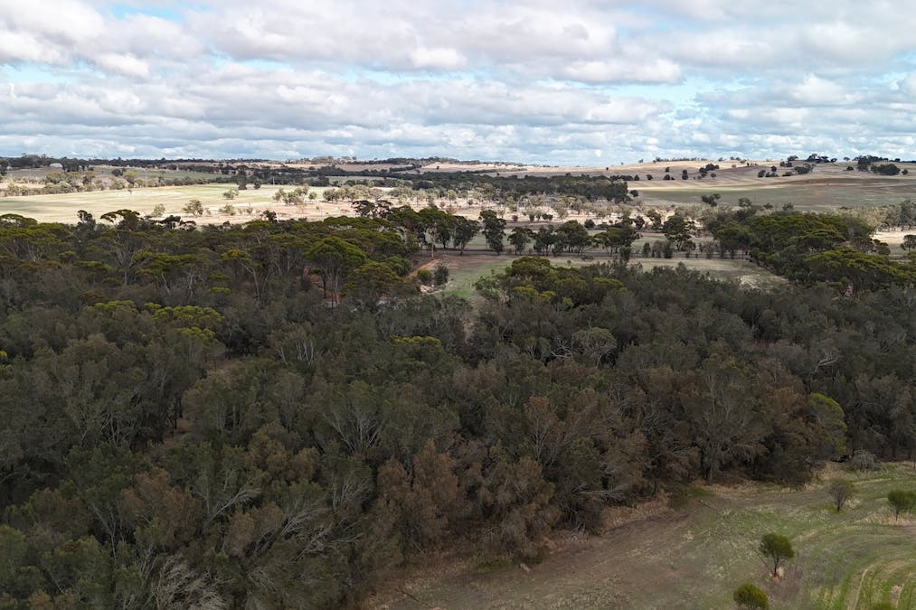 4/Great Southern Highway, Woodanilling, WA, 6316 - Image 14