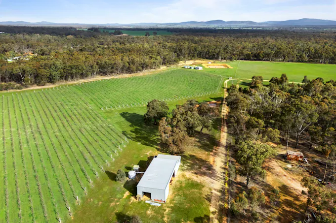 20 Morris Lane, Avoca, VIC, 3467