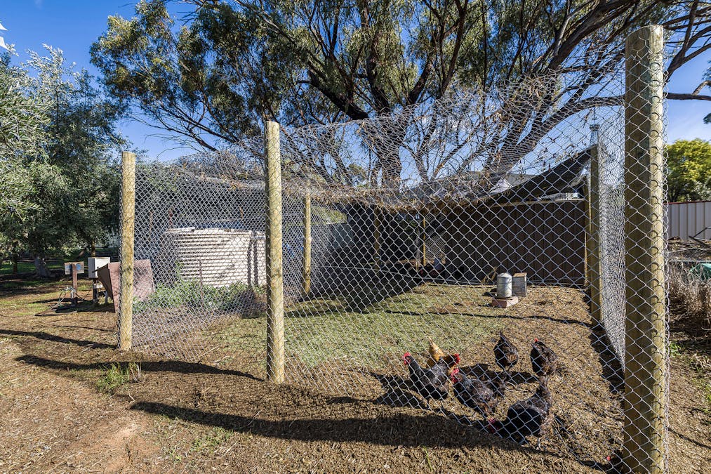 14 Maud Street, York, WA, 6302 - Image 31
