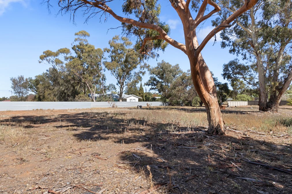 10 Cambridge Street, Jamestown, SA, 5491 - Image 22