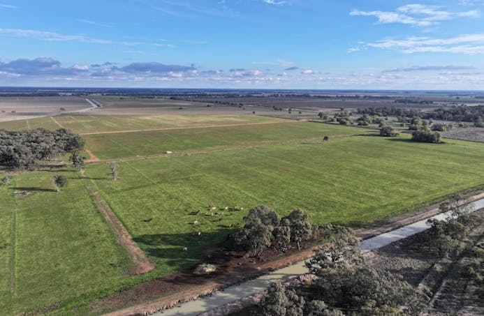Millears Road, Deniliquin, NSW, 2710 - Image 1