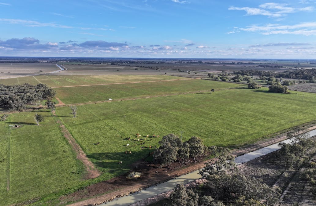 Millears Road, Deniliquin, NSW, 2710 - Image 1