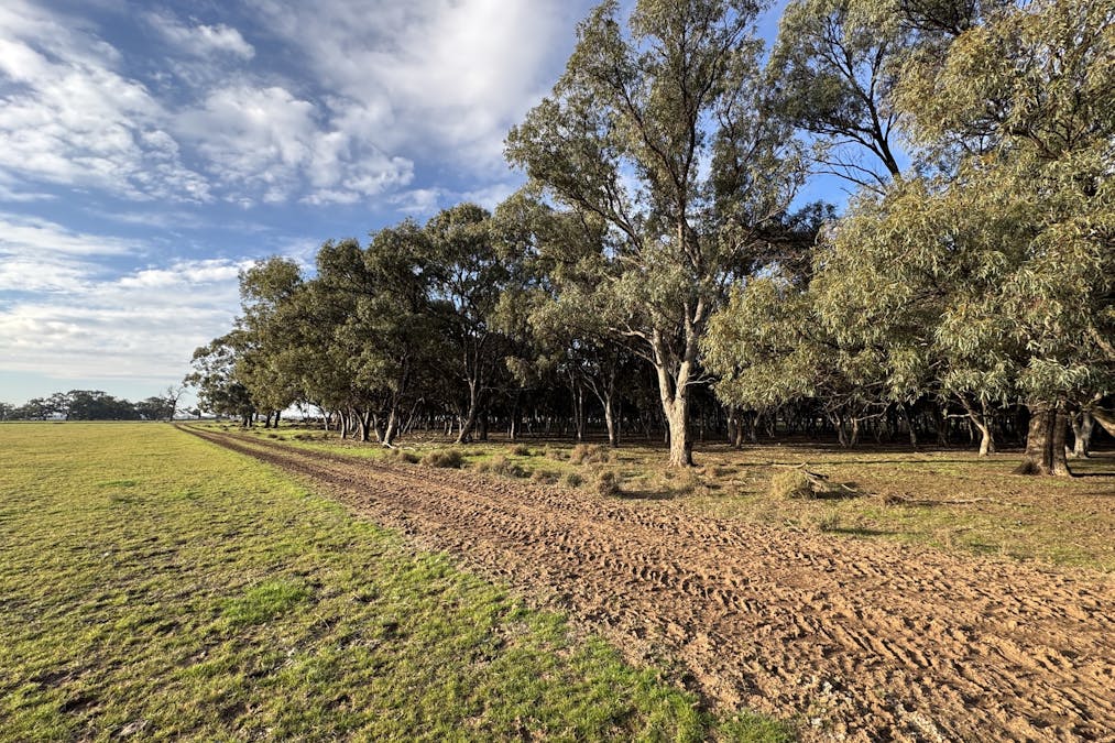 Millears Road, Deniliquin, NSW, 2710 - Image 4