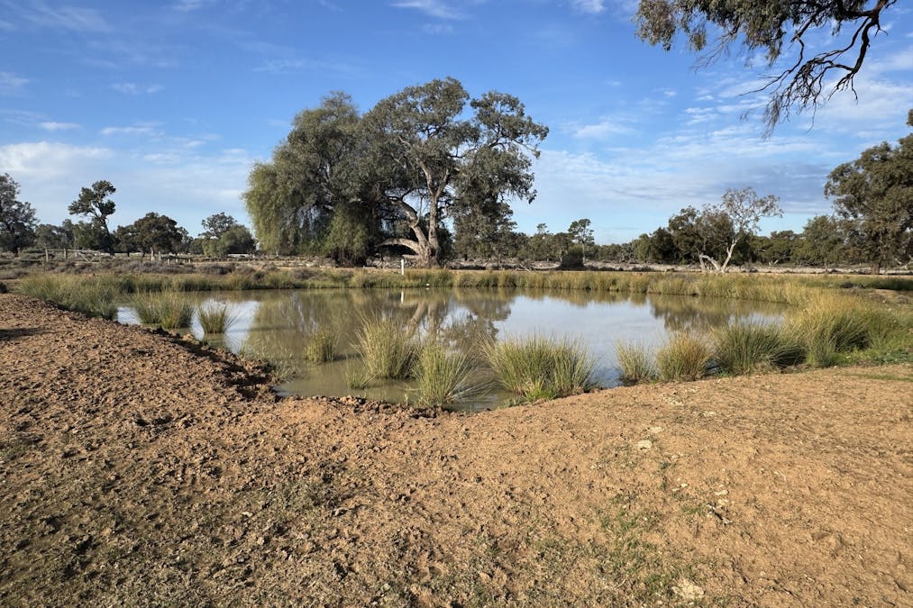 Millears Road, Deniliquin, NSW, 2710 - Image 13