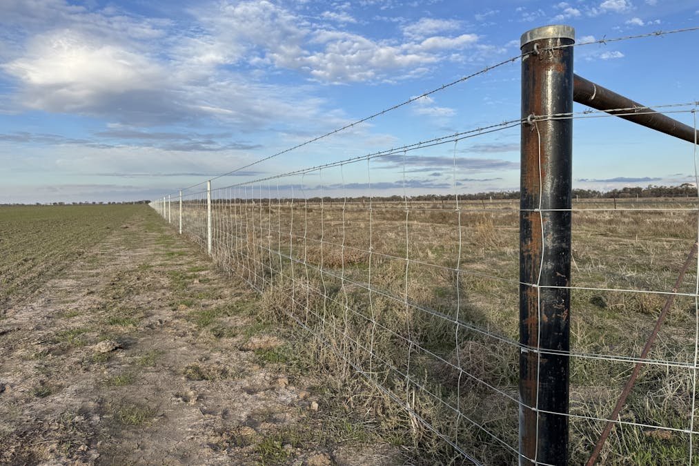 Millears Road, Deniliquin, NSW, 2710 - Image 12