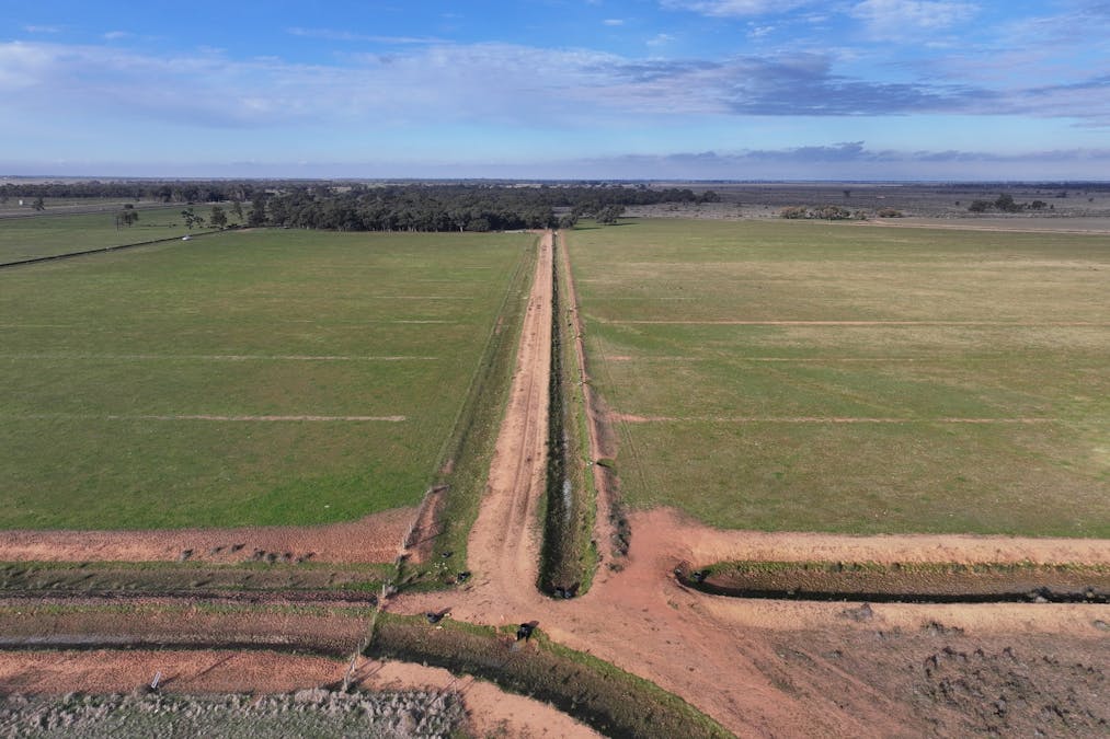 Millears Road, Deniliquin, NSW, 2710 - Image 7