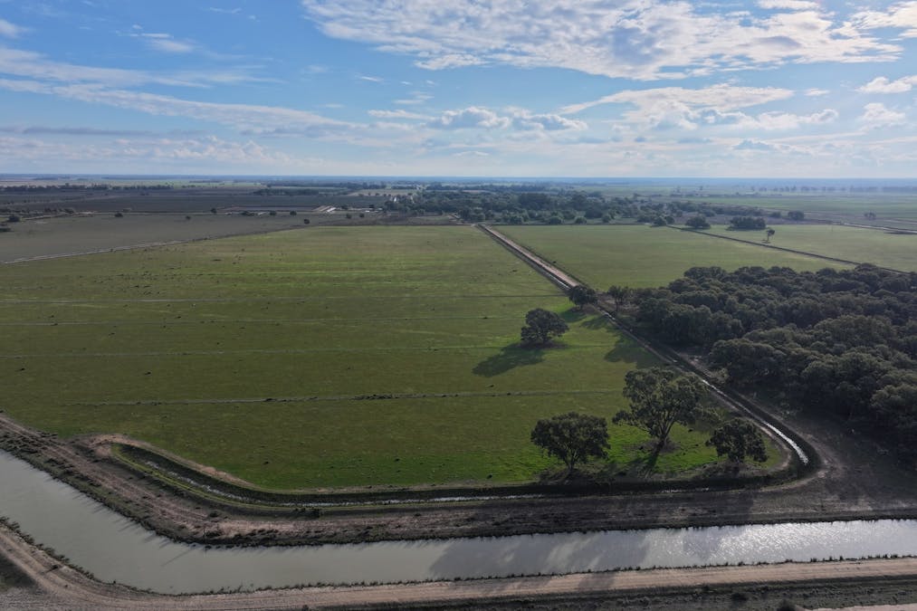 Millears Road, Deniliquin, NSW, 2710 - Image 15