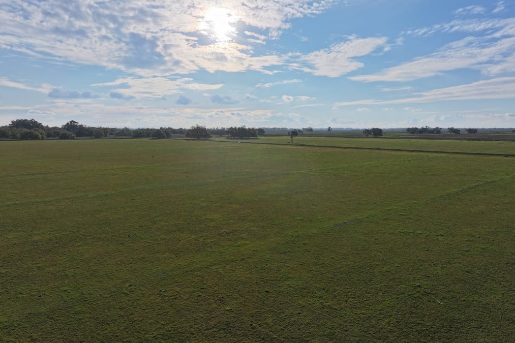 Millears Road, Deniliquin, NSW, 2710 - Image 14