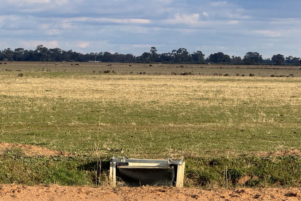 Millears Road, Deniliquin, NSW, 2710 - Image 3