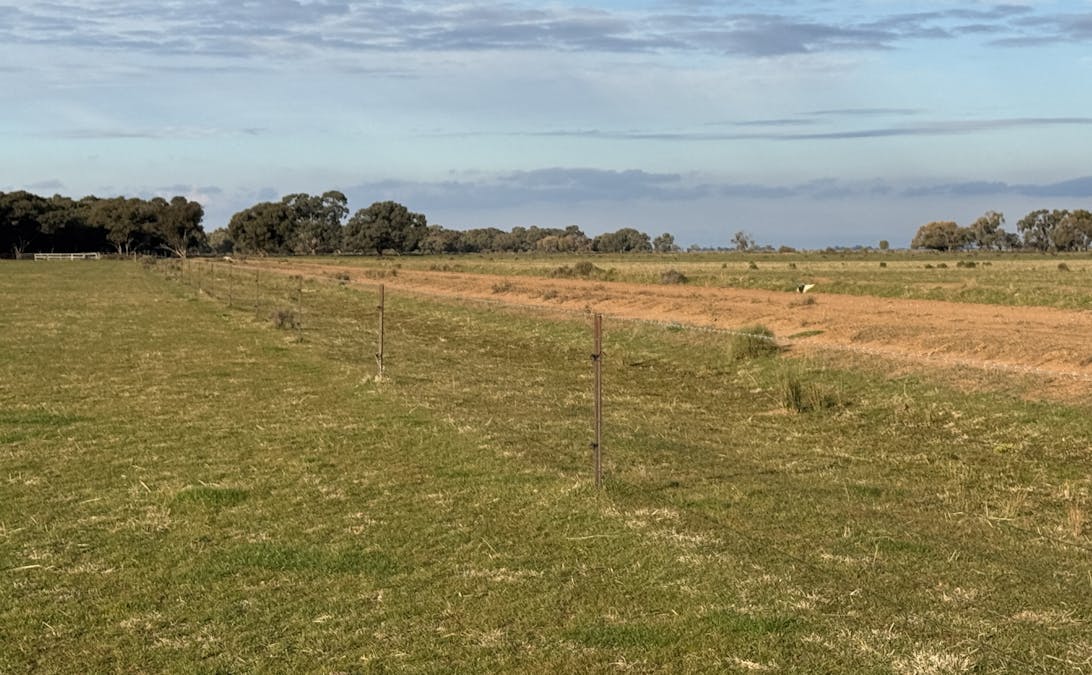 Millears Road, Deniliquin, NSW, 2710 - Image 9