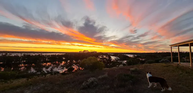 10180 Goyder Highway — photo from Elders Real Estate Barossa