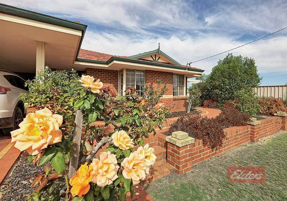 36 Herald Street, Narrogin, WA, 6312 - Image 3