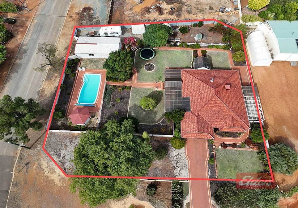 36 Herald Street, Narrogin, WA, 6312 - Image 2