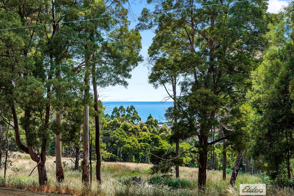 14 Old Surrey Road, Emu Heights, TAS, 7320 - Image 4