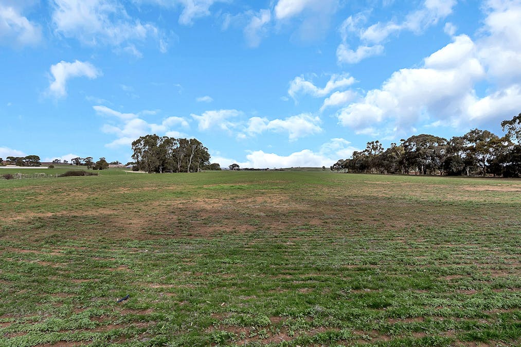 574 Buchanan Road, Buchanan, SA, 5374 - Image 16