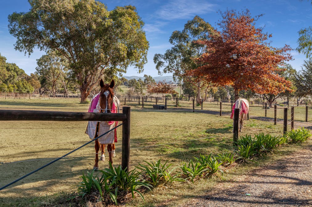 24 Kellys Lane, Kilmore, VIC, 3764 - Image 19