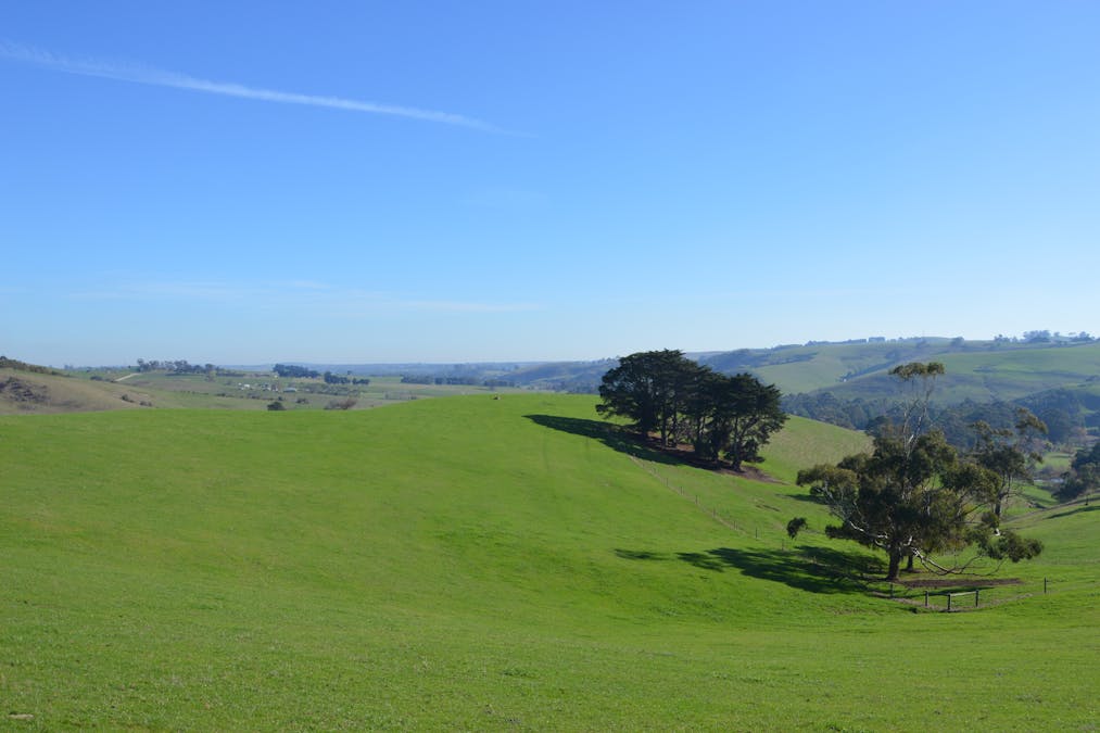 482 Loch-Poowong Road, Loch, VIC, 3945 - Image 13