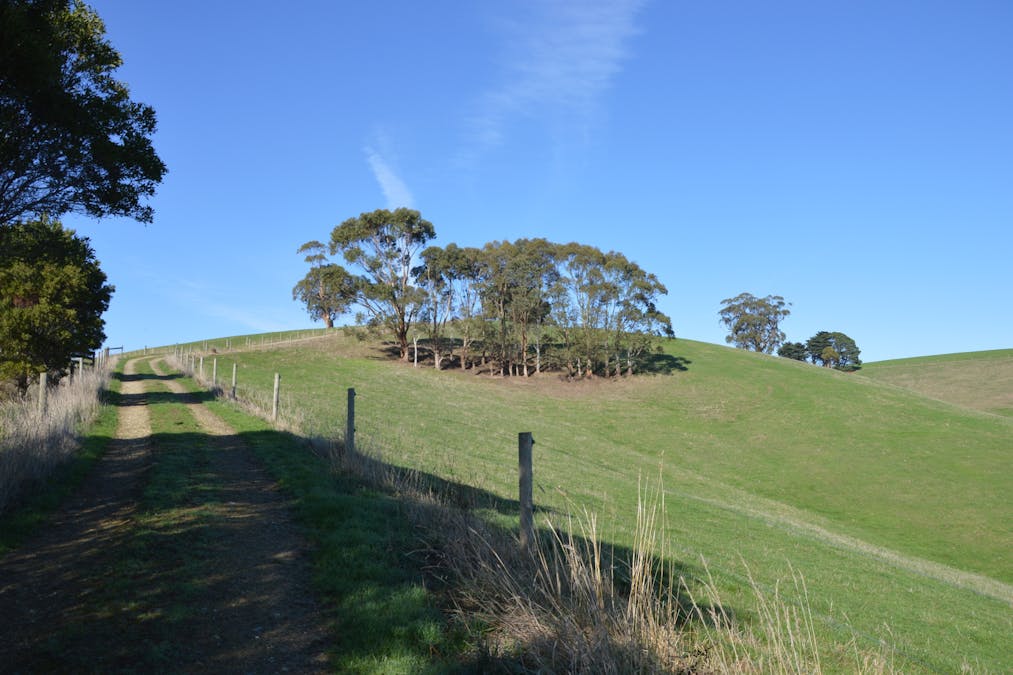 482 Loch-Poowong Road, Loch, VIC, 3945 - Image 10