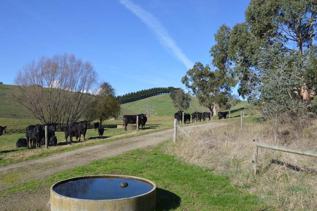 482 Loch-Poowong Road, Loch, VIC, 3945 - Image 9