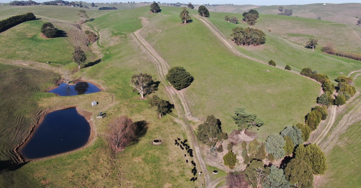 482 Loch-Poowong Road, Loch, VIC, 3945 - Image 8