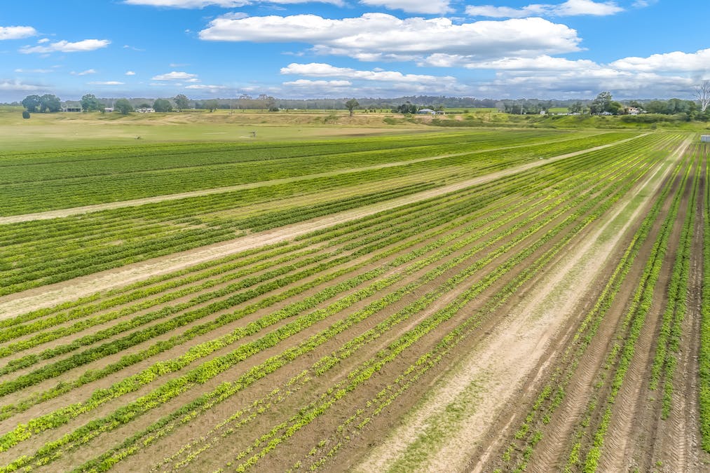 1670 Rosedale Road, Avondale, QLD, 4670 - Image 5