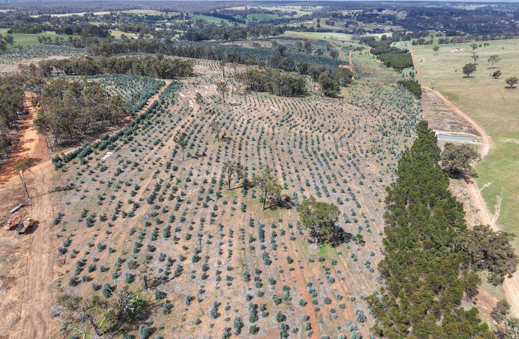 Lot 1 Peninsula Road, Bridgetown, WA, 6255 - Image 2