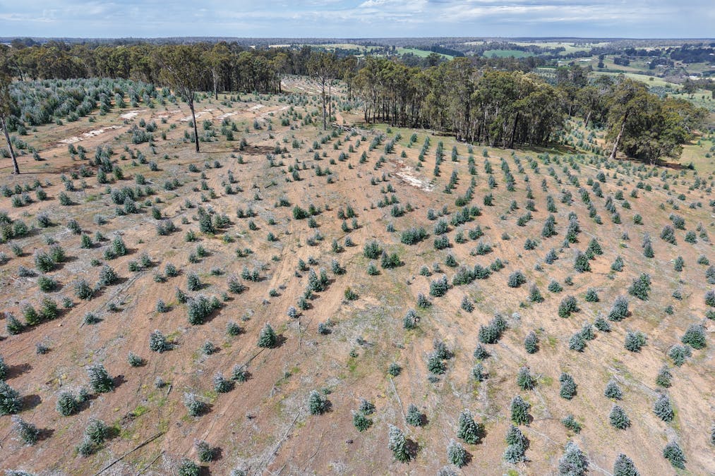 Lot 1 Peninsula Road, Bridgetown, WA, 6255 - Image 3