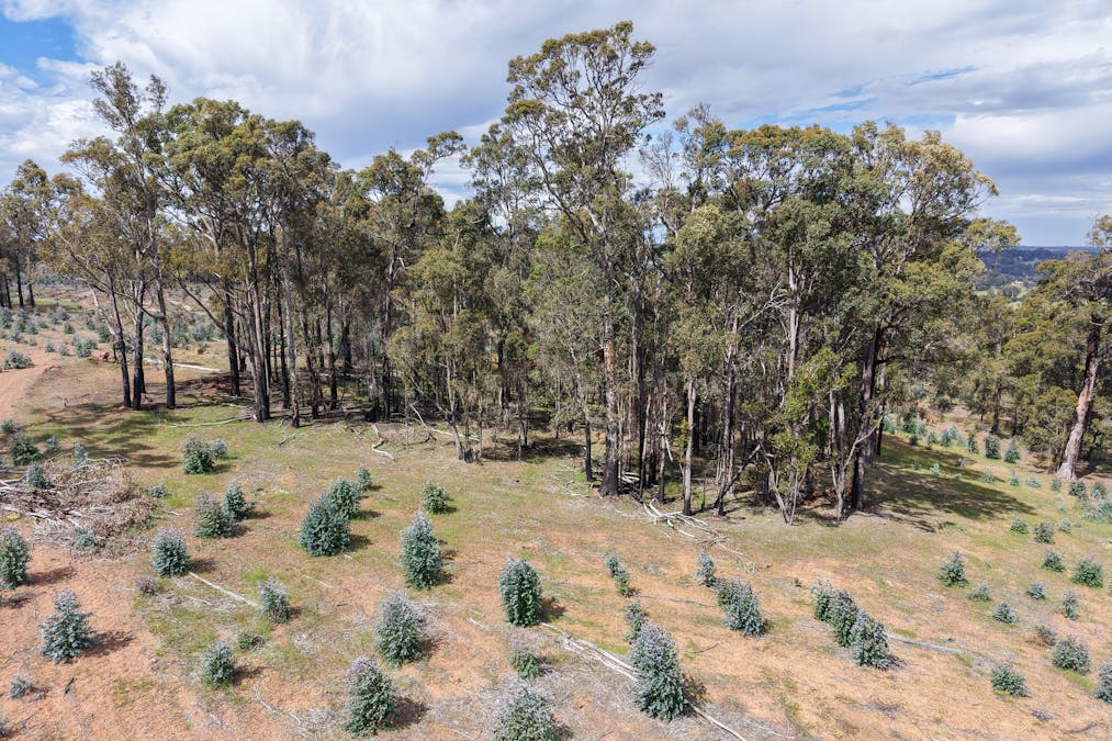 Lot 1 Peninsula Road, Bridgetown, WA, 6255 - Image 4