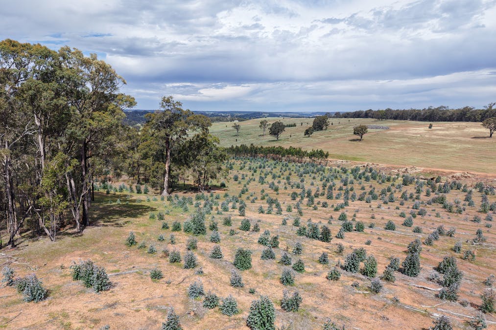 Lot 1 Peninsula Road, Bridgetown, WA, 6255 - Image 5