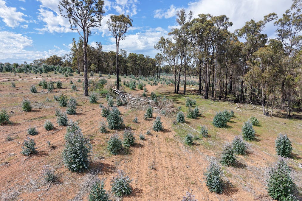 Lot 1 Peninsula Road, Bridgetown, WA, 6255 - Image 6