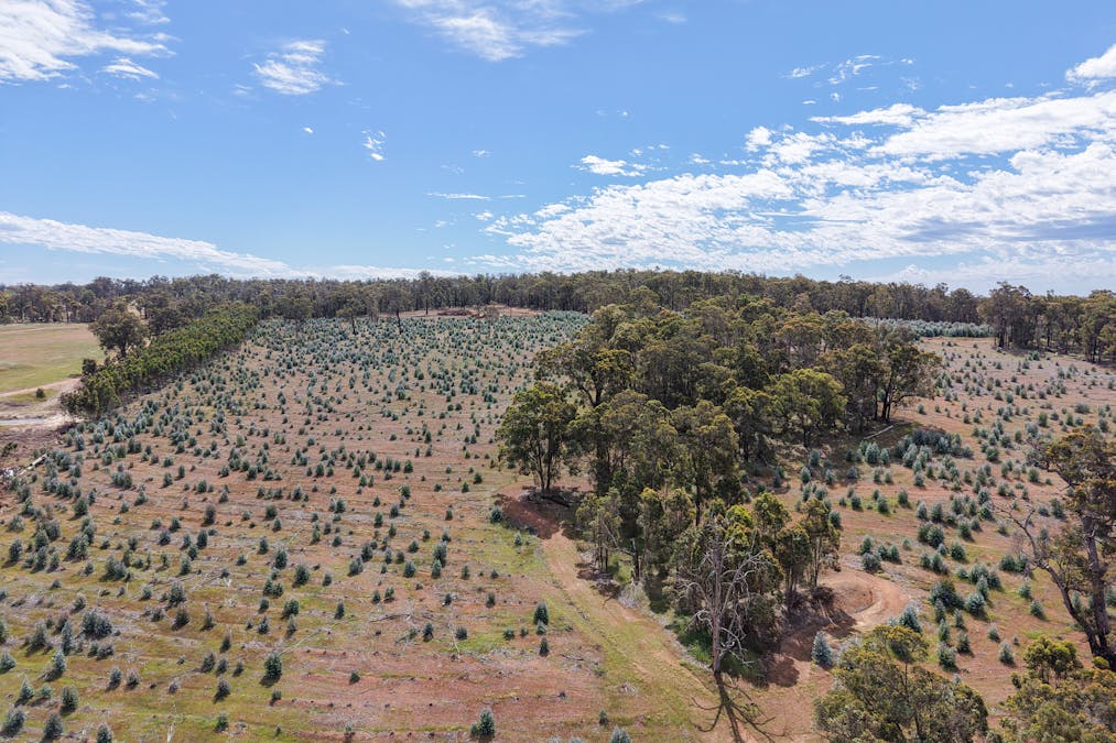 Lot 1 Peninsula Road, Bridgetown, WA, 6255 - Image 7