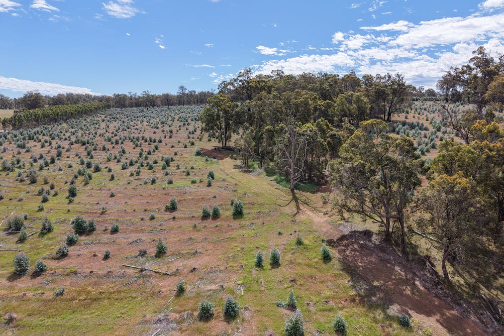 Lot 1 Peninsula Road, Bridgetown, WA, 6255 - Image 8