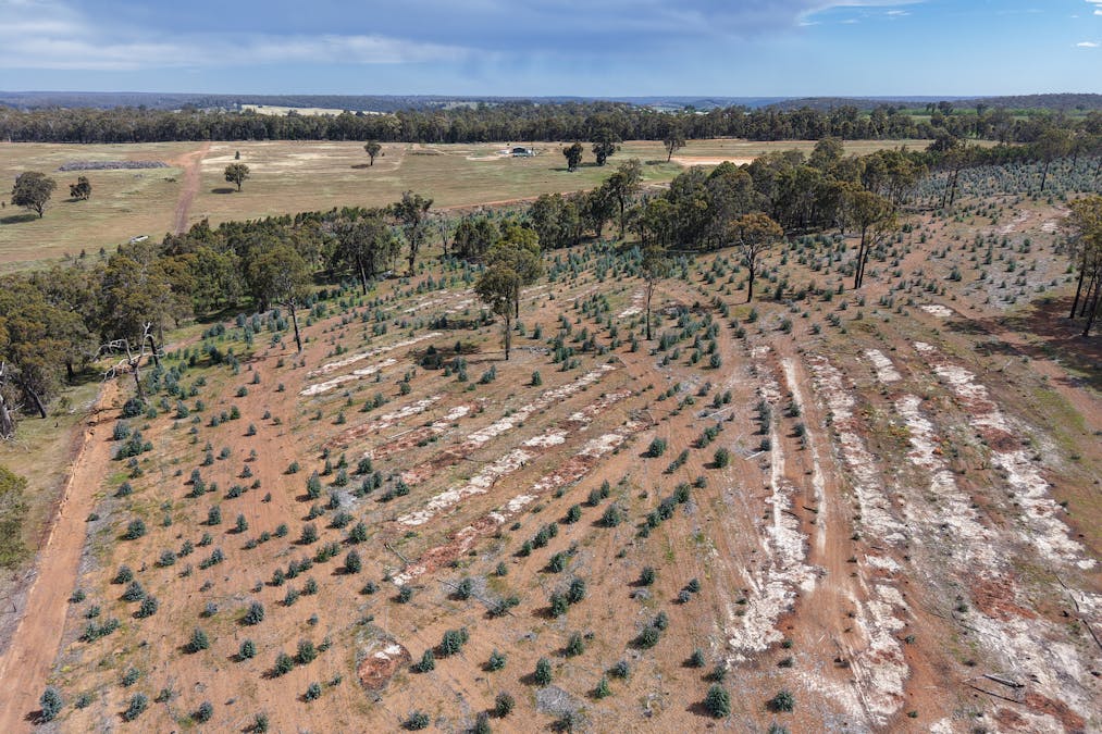 Lot 1 Peninsula Road, Bridgetown, WA, 6255 - Image 9