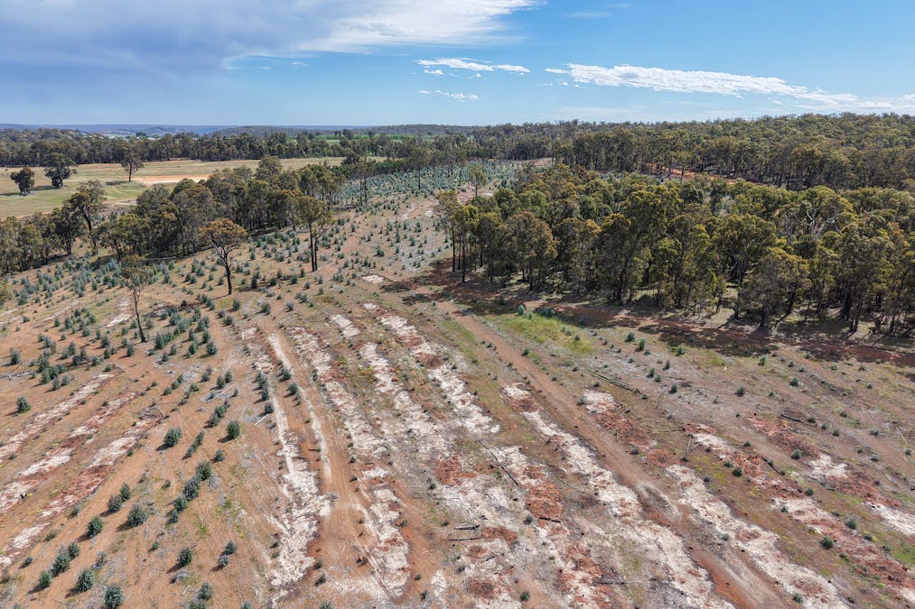 Lot 1 Peninsula Road, Bridgetown, WA, 6255 - Image 10