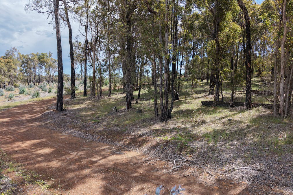 Lot 1 Peninsula Road, Bridgetown, WA, 6255 - Image 13