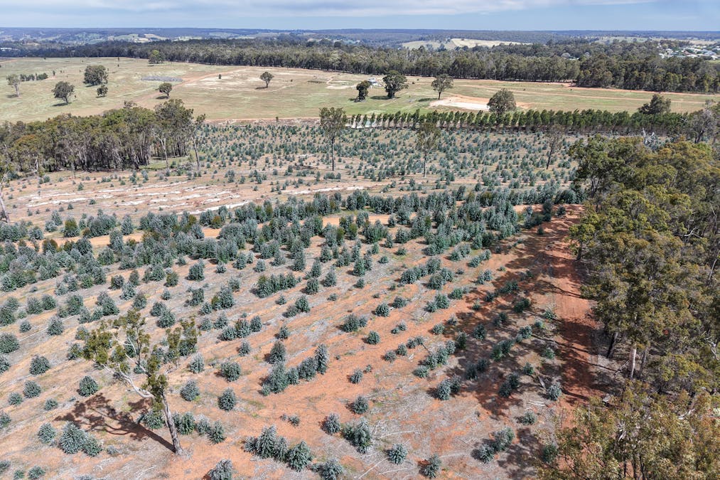 Lot 1 Peninsula Road, Bridgetown, WA, 6255 - Image 14