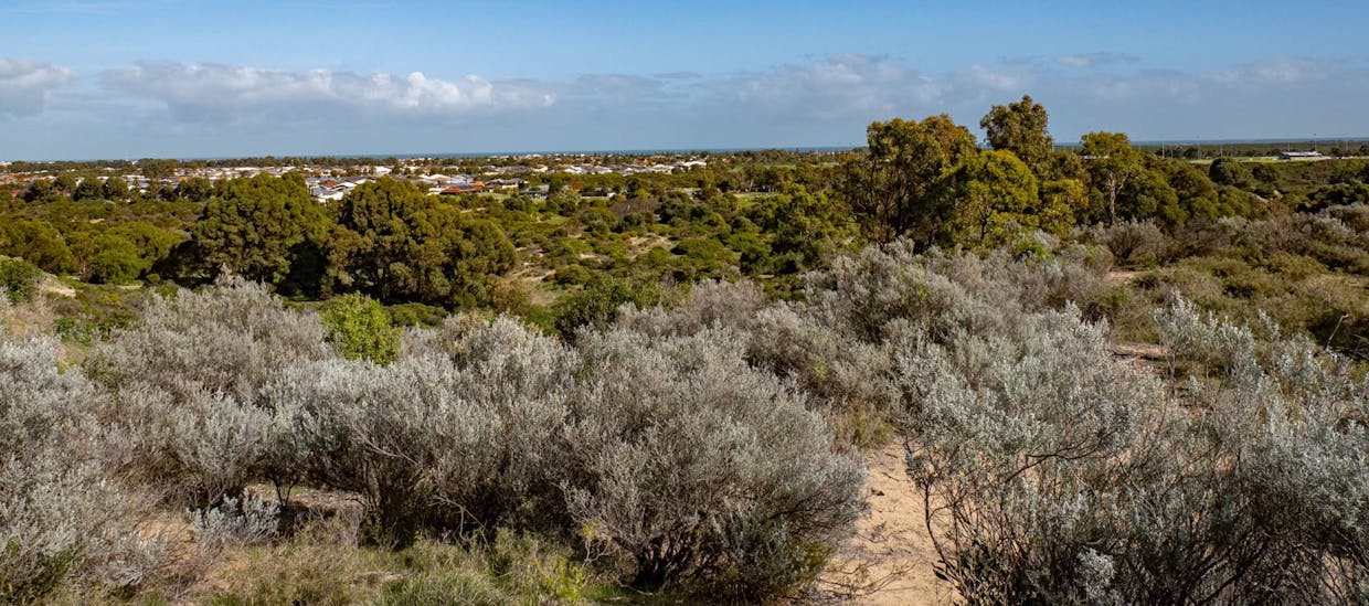 1859 Mandurah Road, Karnup, WA, 6176 - Image 15