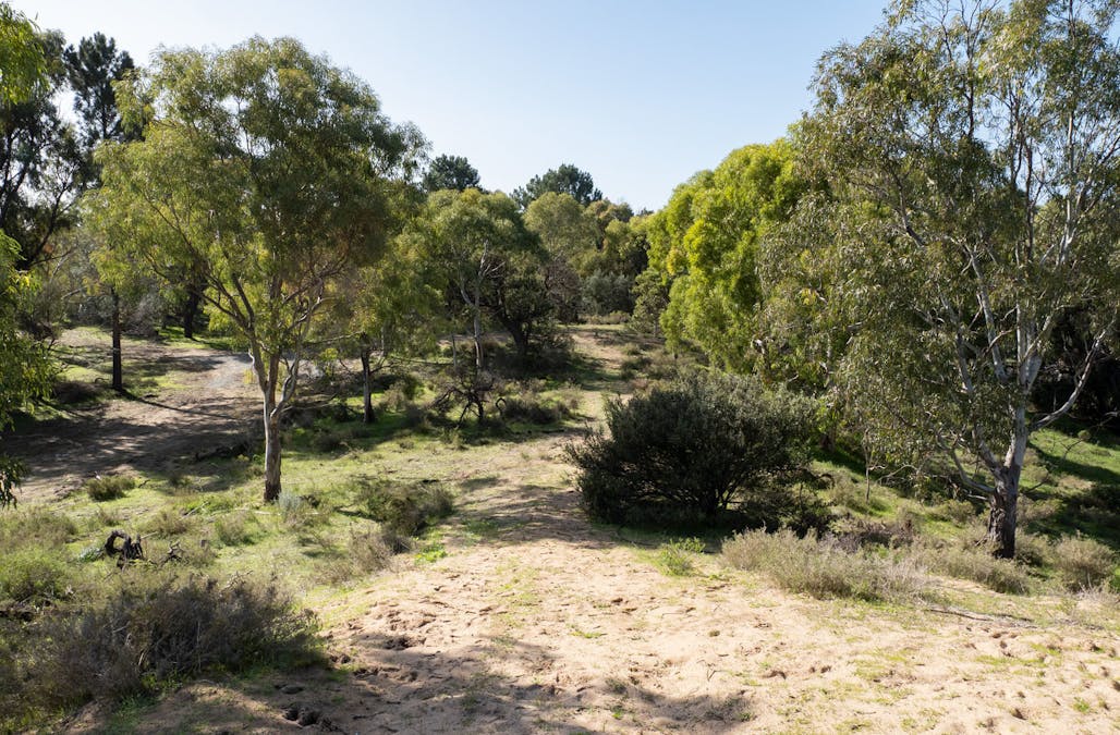 1859 Mandurah Road, Karnup, WA, 6176 - Image 22