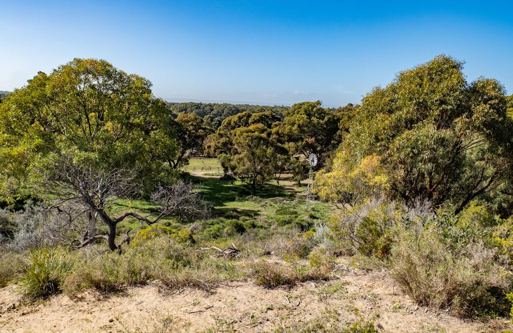 1859 Mandurah Road, Karnup, WA, 6176 - Image 18